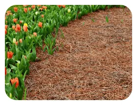 Mulch Installation by Moreno Landscaping