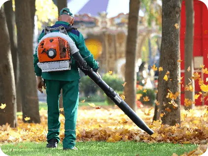 Clean-Ups by Moreno Landscaping