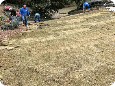 Clean-Ups by Moreno Landscaping
