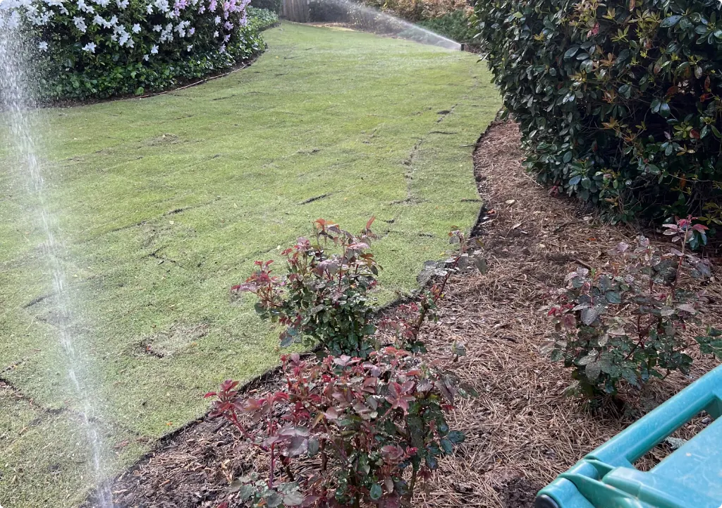 Sprinkler system watering a landscaped bed