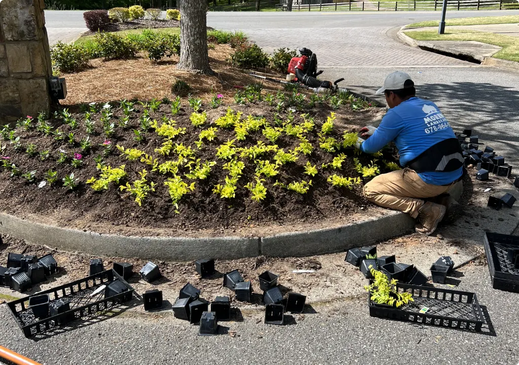 Crew installing plantings